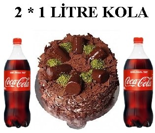 Muzlu Çikolatalı Pasta ve Çift Cola Avantaj Paketi Sivas pasta